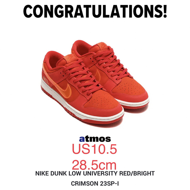 NIKE - NIKE DUNK LOW ATL 28.5cmの通販 by SNEAKER STADIUM's shop