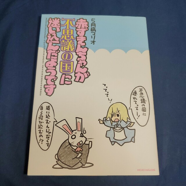 赤ずきんちゃんが不思議の国に迷い込んだようです エンタメ/ホビーの漫画(少女漫画)の商品写真