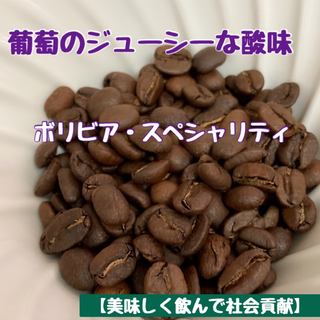 【溢れる高級感】ボリビア・ウォッシュド　中煎り　豆　300g(コーヒー)