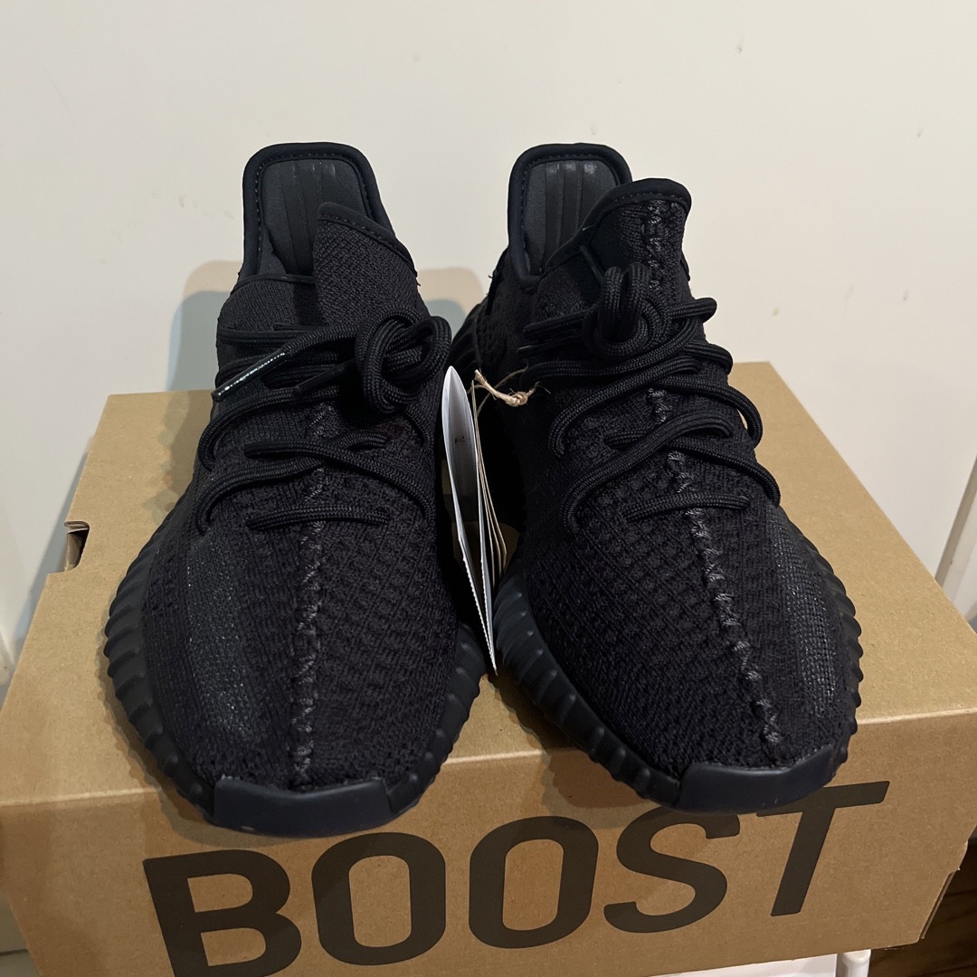 YEEZY（adidas）(イージー)のYEEZY BOOST 350 V2 ONYX 25cm メンズの靴/シューズ(スニーカー)の商品写真