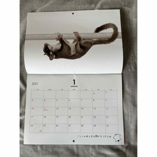 フクロモモンガ カレンダー 2021(小動物)