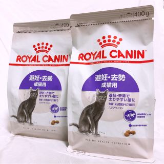 ロイヤルカナン(ROYAL CANIN)のロイヤルカナン 猫  キャット 避妊去勢後用　キャットフード(ペットフード)