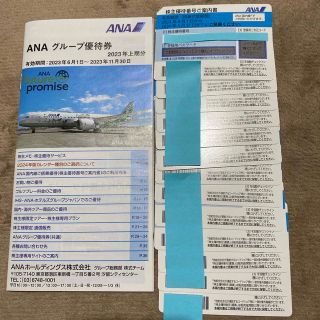 エーエヌエー(ゼンニッポンクウユ)(ANA(全日本空輸))のANA株主優待券13枚 2023/06/01-2024/05/31まで(航空券)