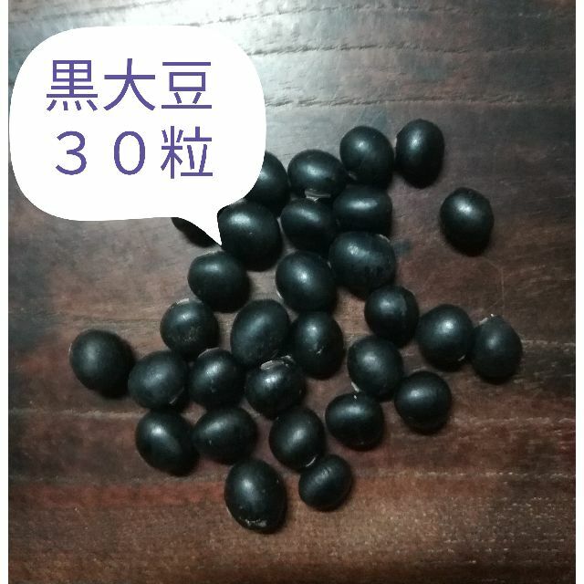 【黒大豆　ダイズ　30粒】晩生　枝豆も美味　自然農法　自然栽培　在来種　自家採種 食品/飲料/酒の食品(野菜)の商品写真