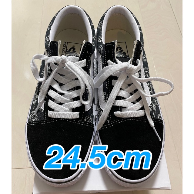 【初代24.5cm】VANS × BUMP OF CHICKEN  スニーカー黒