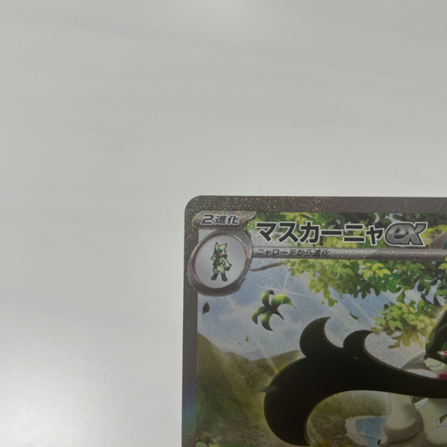 ポケモンカード　マスカーニャex ser エンタメ/ホビーのアニメグッズ(カード)の商品写真