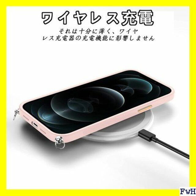 スマホ/家電/カメラその他 IX iPhone 12 Pro max ケース ショルダ 肩掛