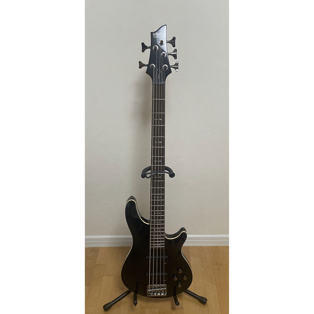 schecter Diamond Series OMEN-5