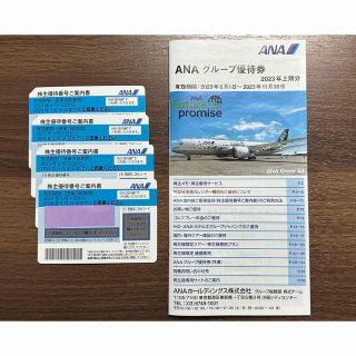 エーエヌエー(ゼンニッポンクウユ)(ANA(全日本空輸))のANA株主優待(航空券)