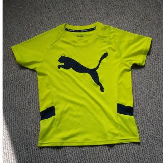 プーマ(PUMA)のプーマ Ｔシャツ(Tシャツ/カットソー)