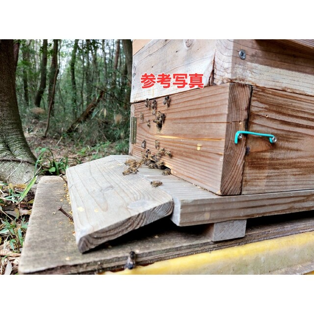 花紋養蜂場】日本蜜蜂巣箱(重箱式) 基台+継箱4段の通販 by bee花紋's ...