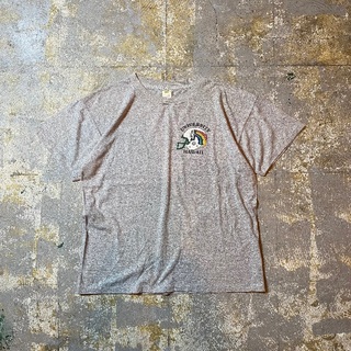 ベルバシーン(VELVA SHEEN)の70s ベルバシーン カレッジロゴtシャツ USA製 グレー M ハワイ大学(Tシャツ/カットソー(半袖/袖なし))