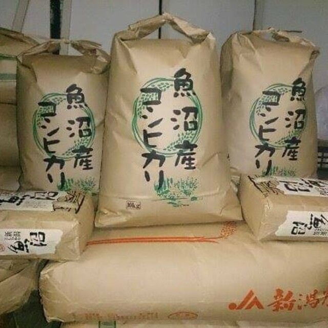 南魚沼産コシヒカリしおざわ西山地区　令和４年産玄米20kg食品/飲料/酒