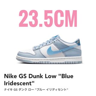 ナイキ(NIKE)の即完！希少★一点限定【新品】ナイキ GS  ダンク LOW ネクスト ネイチャー(スニーカー)