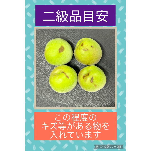 【さととも様 専用】紀州南高梅　3L 5kg B級品　2級品 食品/飲料/酒の食品(フルーツ)の商品写真