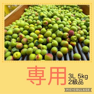 【さととも様 専用】紀州南高梅　3L 5kg B級品　2級品(フルーツ)