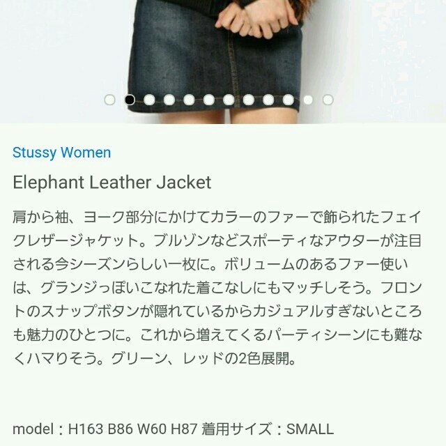 STUSSY(ステューシー)のSTUSSYwomen レザー アウター レディースのジャケット/アウター(その他)の商品写真