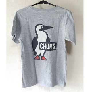 チャムス(CHUMS)の《kids XL / 130-145》CHUMS 半袖Tシャツ(Tシャツ/カットソー)