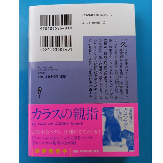 カエルの小指 エンタメ/ホビーの本(文学/小説)の商品写真