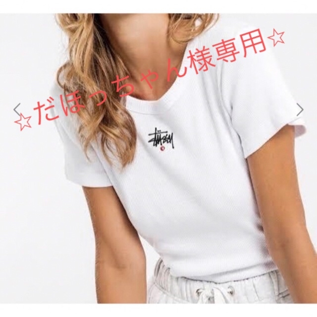 STUSSY  Tシャツ半袖