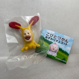 タカラトミー(Takara Tomy)のこびとづかん　おすわりマスコット　ホトケアカバネ(その他)