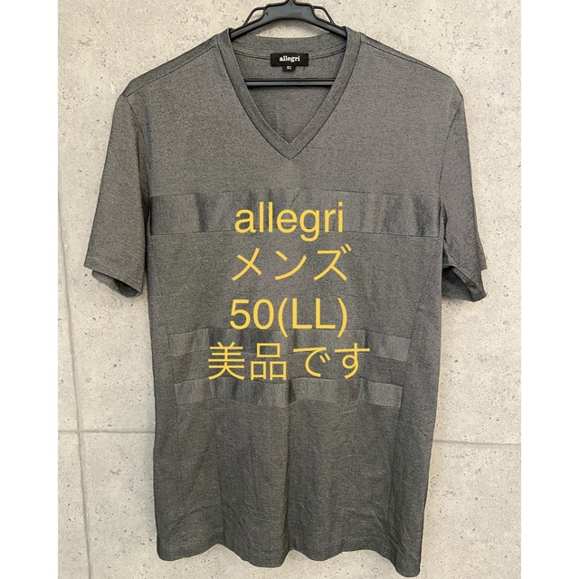 allegri(アレグリ)のallegri メンズ半袖Tシャツ　美品です✨　USED メンズのトップス(Tシャツ/カットソー(半袖/袖なし))の商品写真