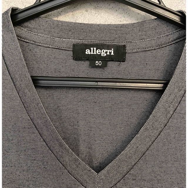 allegri(アレグリ)のallegri メンズ半袖Tシャツ　美品です✨　USED メンズのトップス(Tシャツ/カットソー(半袖/袖なし))の商品写真