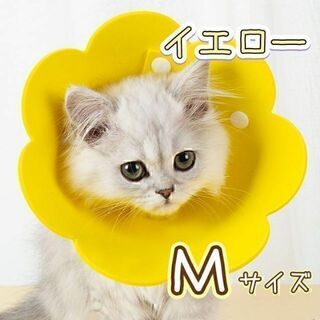 M エリザベスカラー　黄色　イエロー　防水　花　猫　犬　ng001ym(猫)