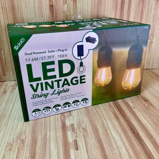 2電源　LEDストリングライト　Vntage string light (その他)