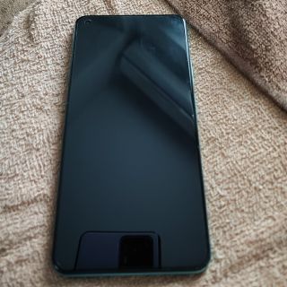 Xiaomi Mi 11Lite 5Gミントグリーン(スマートフォン本体)