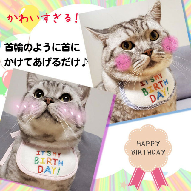 94%OFF!】 首回り かわいい スタイ ピンク お誕生日 パーティー 犬 猫 ペット 首掛け