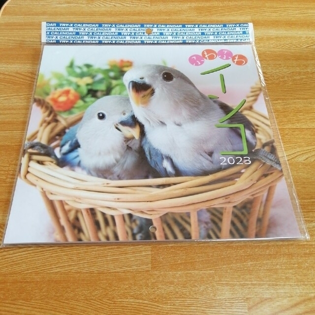 ふわふわインコ　2023　カレンダー エンタメ/ホビーの声優グッズ(カレンダー)の商品写真