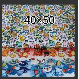 ポケモン ランチョンマット40×50 小学生向け 2枚(外出用品)