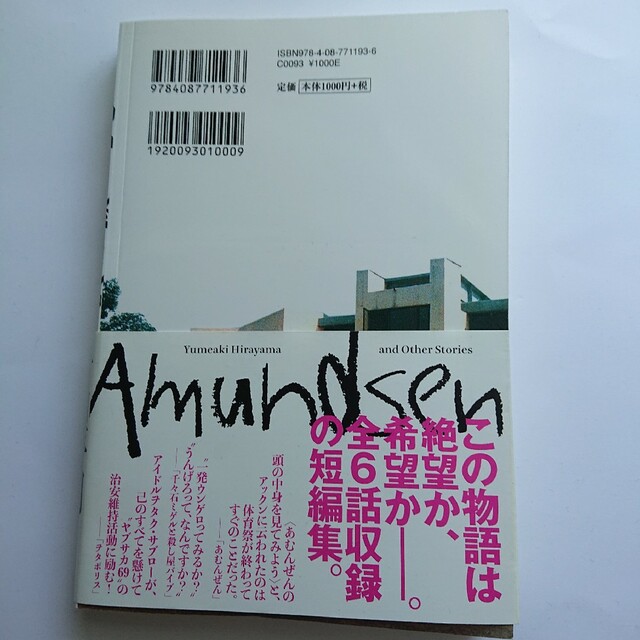 あむんぜん    平山夢明 エンタメ/ホビーの本(文学/小説)の商品写真