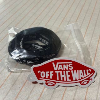 ヴァンズ(VANS)のVANS 靴紐(スニーカー)