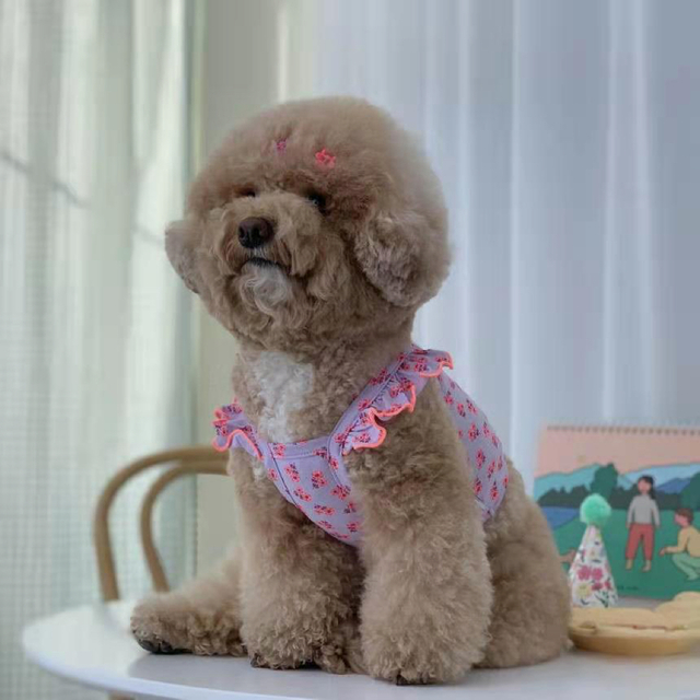 定番 新品 袖フリル 犬服 Tシャツ 犬の服 ペット用品 (紫) 猫服