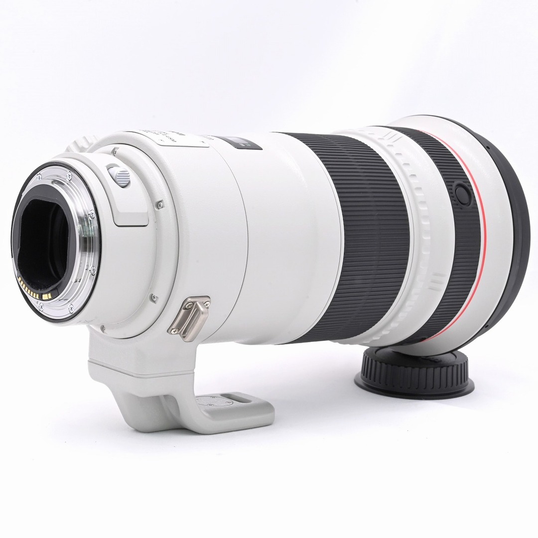 Canon(キヤノン)のCANON EF300mm F2.8L IS II USM スマホ/家電/カメラのカメラ(レンズ(単焦点))の商品写真