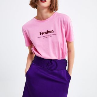 ザラ(ZARA)のZARA ロゴ Tシャツ ベロア(Tシャツ(半袖/袖なし))