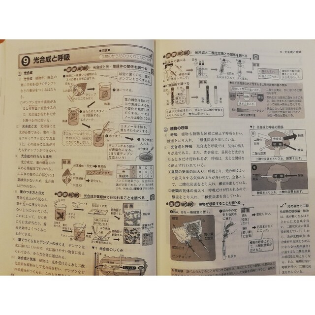 中学２年　新中学問題集　理科２年　解答解説 エンタメ/ホビーの本(語学/参考書)の商品写真