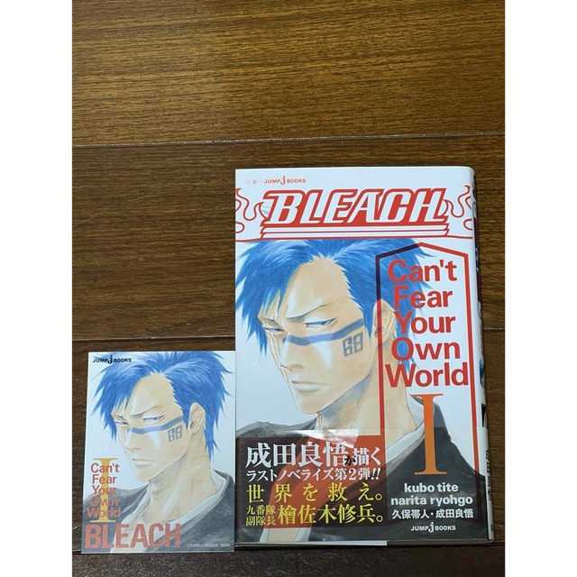 BLEACH 1~73巻+関連本7冊