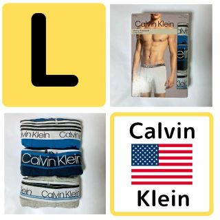 カルバンクライン(Calvin Klein)の【新品】カルバンクライン ボクサー ck パンツ 3枚 L レア 下着 USA(ボクサーパンツ)