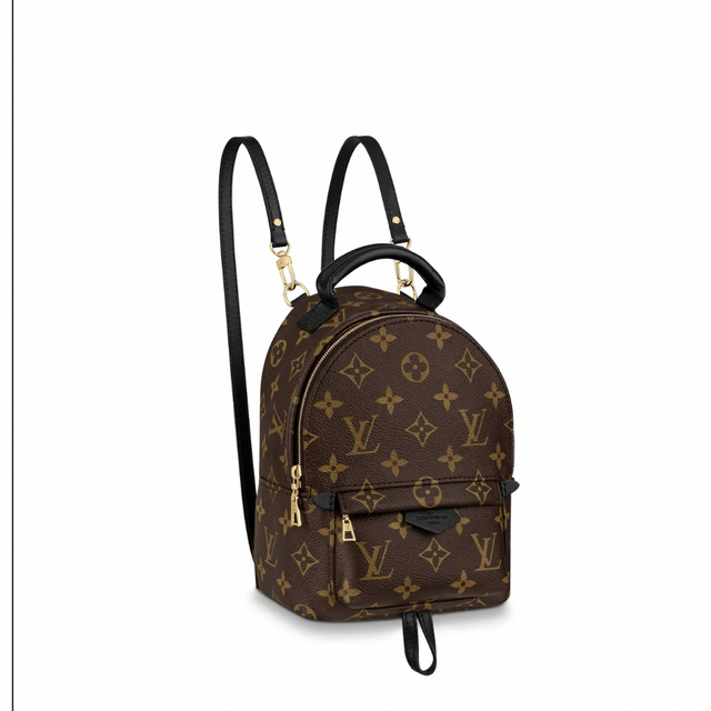 LOUIS VUITTON(ルイヴィトン)のはな様専用　パームスプリング レディースのバッグ(リュック/バックパック)の商品写真