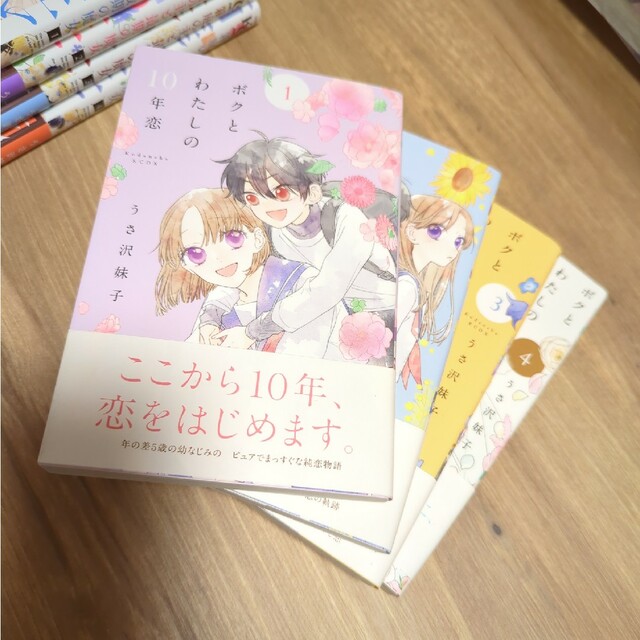 ボクとわたしの10年恋　全巻　セット　うさ沢妹子