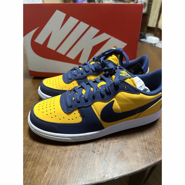 Nike Terminator Low Michigan 26cm jsco.gov.sl