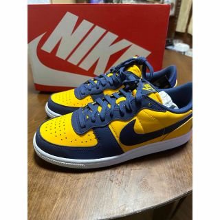 ナイキ(NIKE)のNike Terminator Low Michigan 26cm(スニーカー)