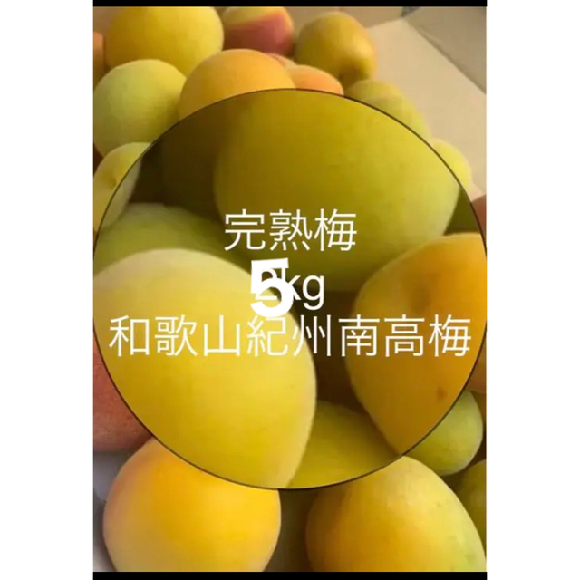 和歌山南高梅5キロ????完熟 専用