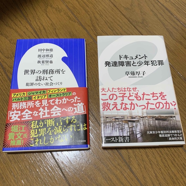 世界の刑務所を訪ねて 犯罪のない社会づくり　発達障害と少年犯罪 エンタメ/ホビーの本(その他)の商品写真