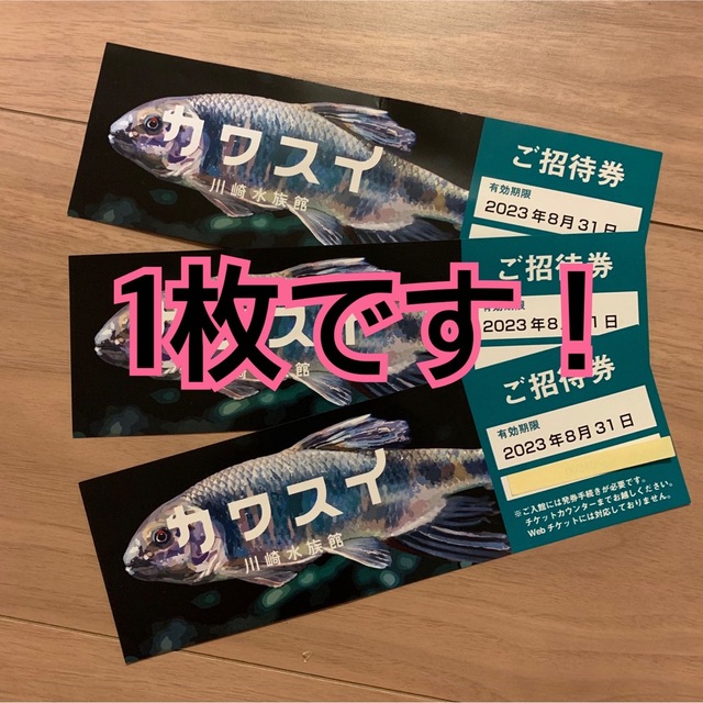 カワスイ☆招待券1枚 チケットの施設利用券(水族館)の商品写真