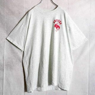 フルーツオブザルーム(FRUIT OF THE LOOM)のフルーツ　Tシャツ　USA製　XLサイズ　カレッジロゴ(Tシャツ/カットソー(半袖/袖なし))