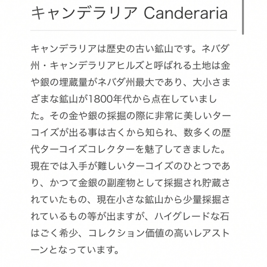 INDIAN JEWELRY(インディアンジュエリー)のインディアンジュエリー　キャンデラリアターコイズ メンズのアクセサリー(リング(指輪))の商品写真